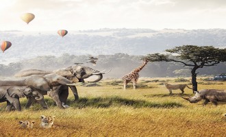 THE BEST OF EAST AFRICA | Gorillas, Wildebeest & The  Big 5 Game Animals