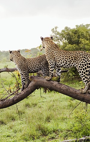 image_10_rwanda