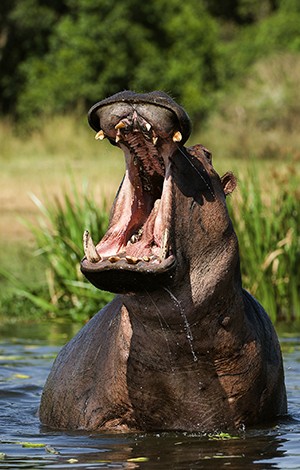 Image_10_Tanzania