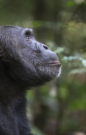 Image_6_Tanzania