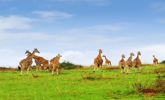 TANZANIA | Safe Travel To Tanzania
