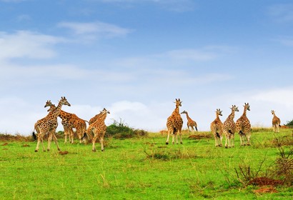 TANZANIA | Safe Travel To Tanzania