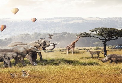 THE BEST OF EAST AFRICA | Gorillas, Wildebeest & The  Big 5 Game Animals