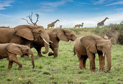 TANZANIA | Africa's Rooftop – Mount Kilimanjaro